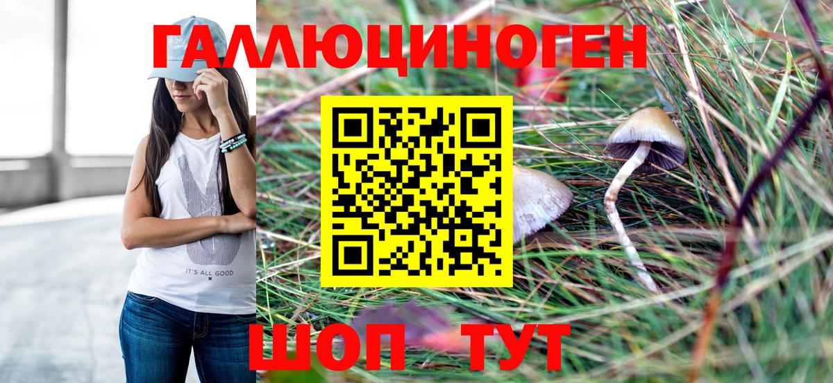 Рыбинск  Псилоцибиновые грибы Psilocybine cubensis  Вход с VPN 